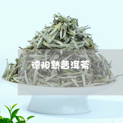 德阳熟普洱茶/2023042695531