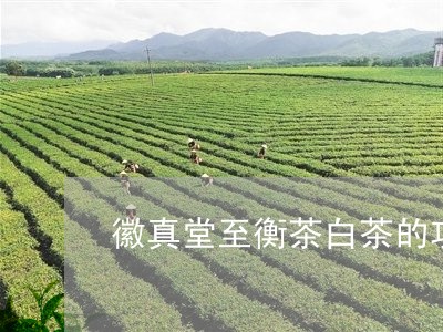 徽真堂至衡茶白茶的功效/2023102523727