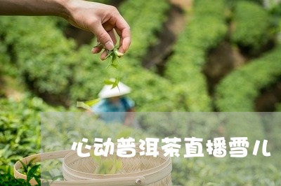 心动普洱茶直播雪儿/2023112662836