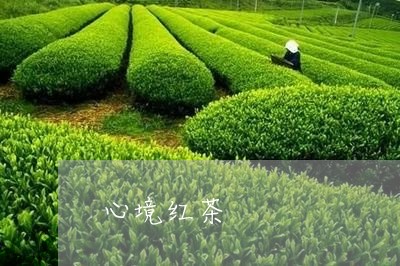 心境红茶/2023110959493