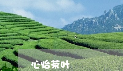 心怡茶叶/2023110862714