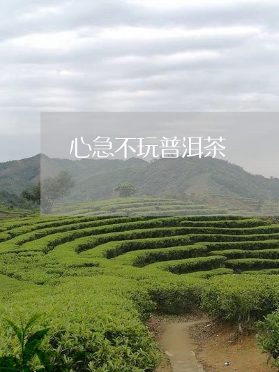 心急不玩普洱茶/2023102680704