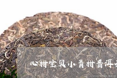 心柑宝贝小青柑普洱茶/2023072238160