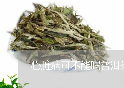 心脏病可不能喝普洱茶/2023092603269