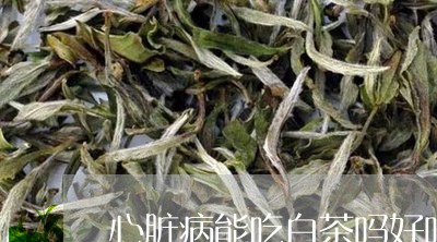 心脏病能吃白茶吗好吗/2023093037481