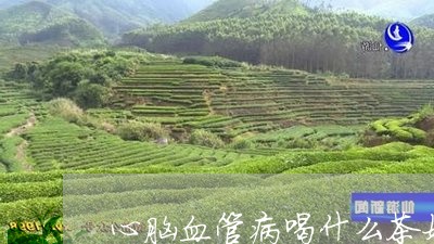 心脑血管病喝什么茶好/2023071376279