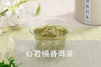 心若镜普洱茶/2023042606427