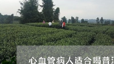 心血管病人适合喝普洱茶吗/2024010423928