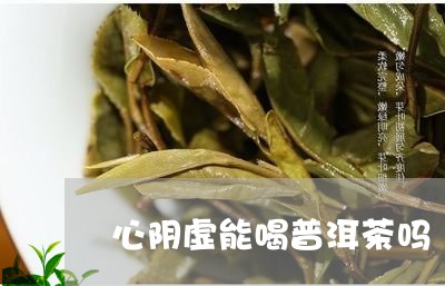 心阴虚能喝普洱茶吗/2023071048602