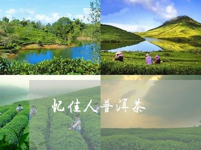 忆佳人普洱茶/2023042658863