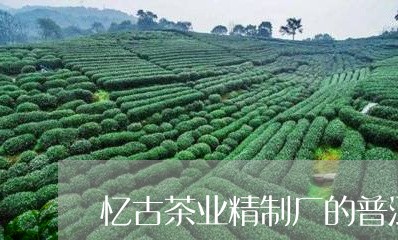 忆古茶业精制厂的普洱茶怎么样/2023110637481