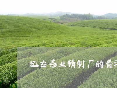 忆古茶业精制厂的普洱茶怎么样/2023121641705