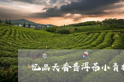 忆品天香普洱茶小青柑/2023072181602