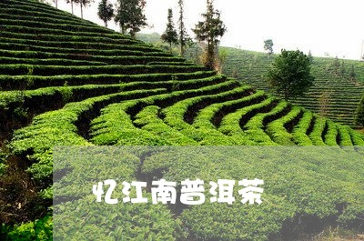 忆江南普洱茶/2023042981709