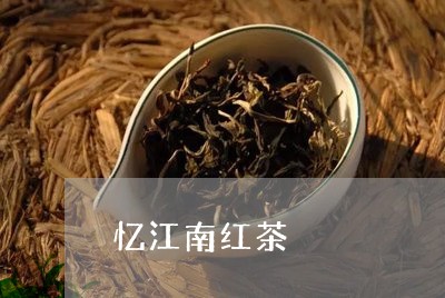 忆江南红茶/2023121927280