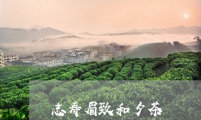 志寿眉致和夕茶/2023112438160