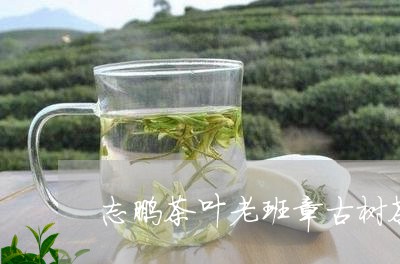 志鹏茶叶老班章古树茶/2023061279404