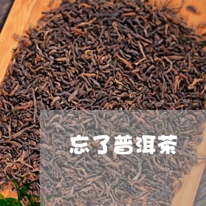 忘了普洱茶/2023090675158