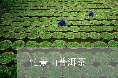 忙景山普洱茶/2023121607270