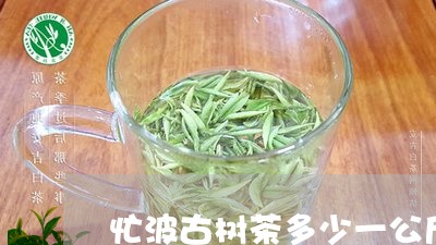 忙波古树茶多少一公斤/2023061056581