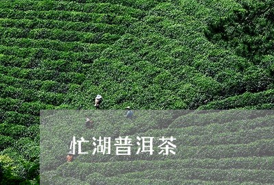 忙湖普洱茶/2023090627269