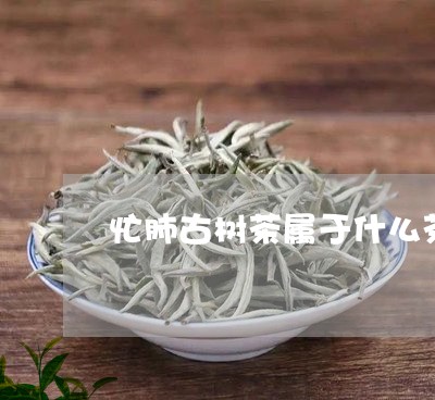 忙肺古树茶属于什么茶/2023071613938