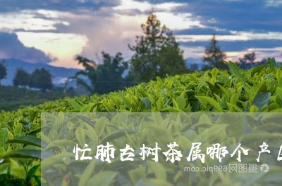 忙肺古树茶属哪个产区有什么好处/2023060151725