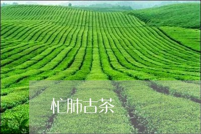 忙肺古茶/2023090156180