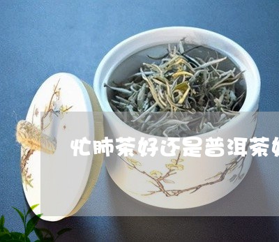 忙肺茶好还是普洱茶好/2023062241816