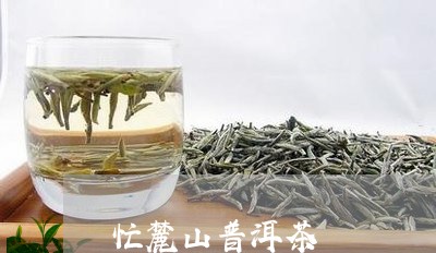 忙麓山普洱茶/2023042936438