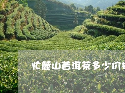 忙麓山普洱茶多少价格/2023062335249