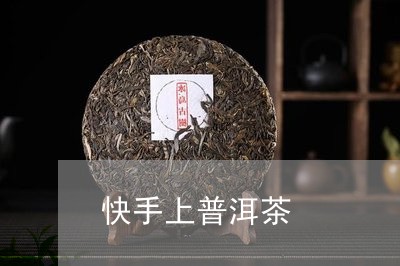 快手上普洱茶/2023042749798