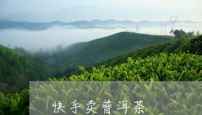 快手卖普洱茶/2023042706883