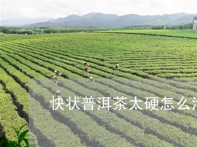 快状普洱茶太硬怎么泡/2023062000593