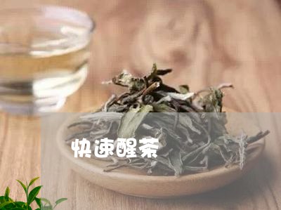 快速醒茶/2023110980504