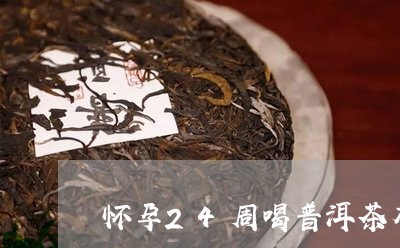 怀孕24周喝普洱茶有影响吗/2023110470505