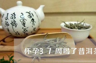 怀孕37周喝了普洱茶/2023080124940