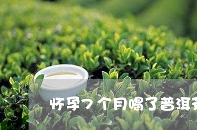 怀孕7个月喝了普洱茶/2023092828493