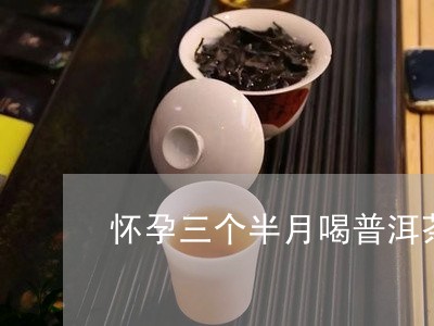 怀孕三个半月喝普洱茶/2023092782604