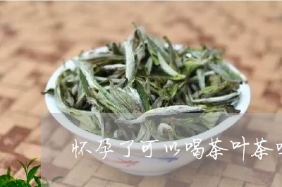 怀孕了可以喝茶叶茶吗/2023092309492