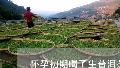 怀孕初期喝了生普洱茶有影响吗/2023121665938