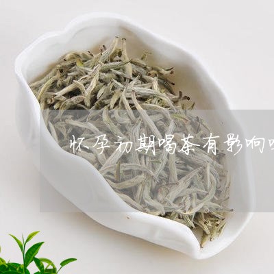 怀孕初期喝茶有影响吗/2023071694158