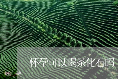 怀孕可以喝茶化石吗/2023042258371