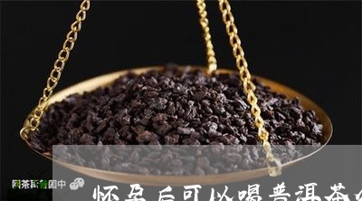 怀孕后可以喝普洱茶么/2023072427271