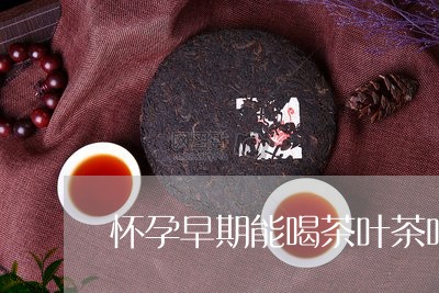 怀孕早期能喝茶叶茶吗/2023092365948