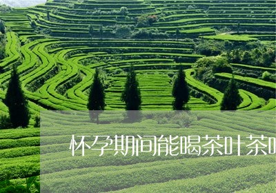 怀孕期间能喝茶叶茶吗/2023092334939