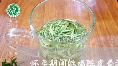 怀孕期间能喝陈皮普洱茶吗/2023051003817