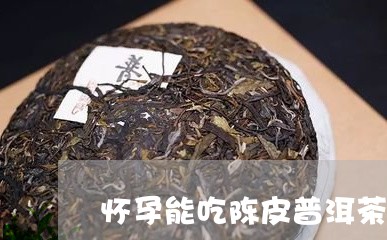 怀孕能吃陈皮普洱茶吗/2023080277351