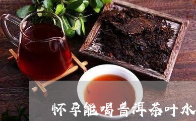 怀孕能喝普洱茶叶水吗/2023061456364