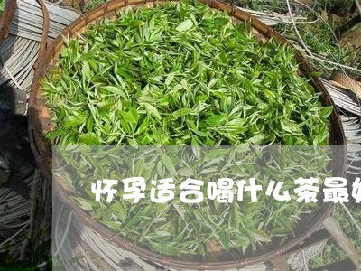 怀孕适合喝什么茶最好/2023071361636